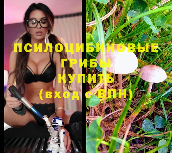 ешки Липки